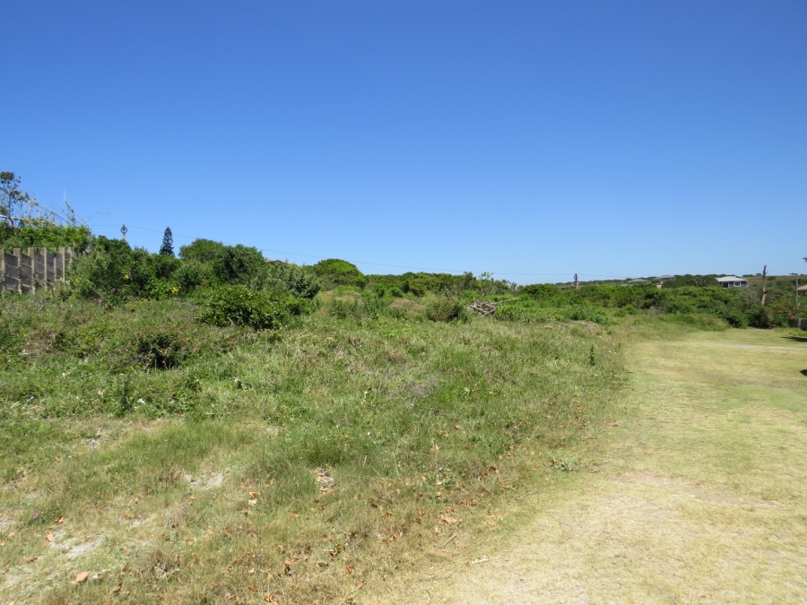 0 Bedroom Property for Sale in Forest Downs Eastern Cape